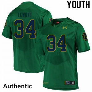 Youth Notre Dame Fighting Irish Osita Ekwonu #34 Stitched Authentic Green Jersey 610381-642